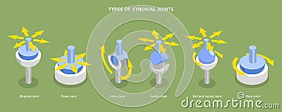 3D Isometric Flat Vector Conceptual Illustration of Types Of Synovial Joints Vector Illustration