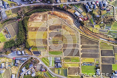 D JP Ohara rice fields top down Stock Photo