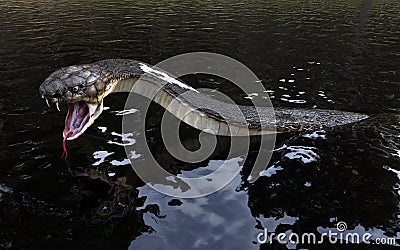 3d King cobra snake on water Cartoon Illustration