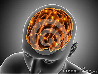 3D male figure with brain highlighted Stock Photo