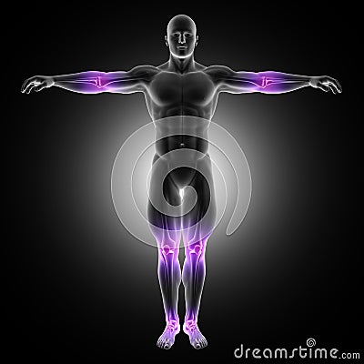 3D male medical figure in standing pose with joints highlighted Stock Photo