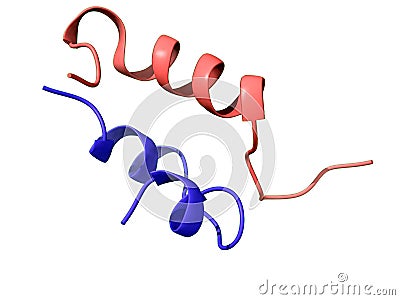 A 3D-model of the bovine insulin chains A and B Stock Photo