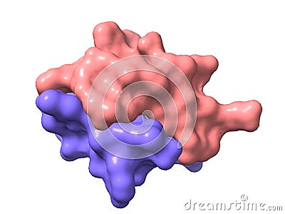 A 3D-model of the recombinant human insulin chains A and B Stock Photo