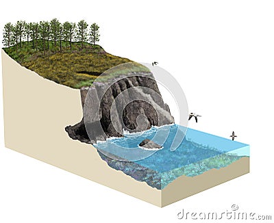 3d model terrain cliff ecosystem Cartoon Illustration