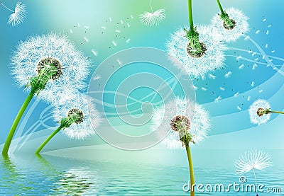 3d mural wallpaper waves background white paper flowers, colorful dandelions . blue background Stock Photo