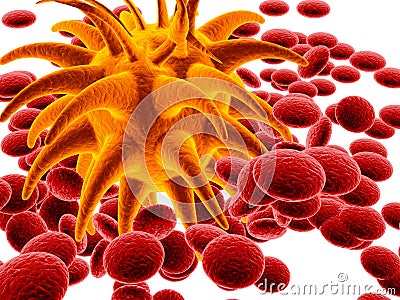 Orange bacteria and red cells Stock Photo