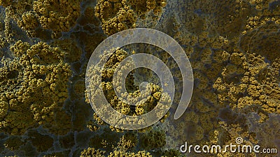 3D organic fractal abstract Stock Photo