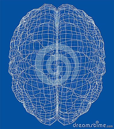 3D outline brain. Vector rendering of 3d Vector Illustration