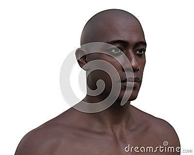 A 3D photorealistic illustration showcasing the portrait of an African man Cartoon Illustration