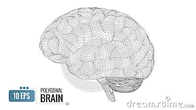 3D polygonal wireframe brain on white BG Vector Illustration
