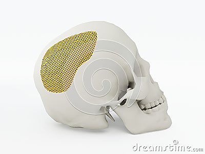 3d printed cranium Stock Photo