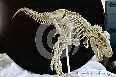 3D printed dinosaur skeleton Stock Photo