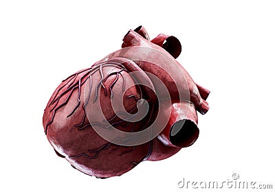 3d realistic Anatomy of Human Heart isolated on white, 3d render Stock Photo