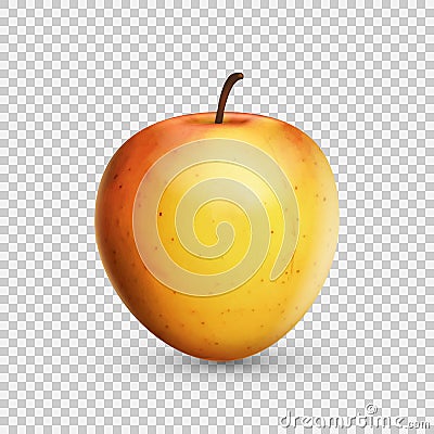 3D realistic apple isolated on transparent background. Vector illustration. Vector Illustration