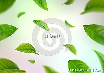 3d realistic isolated tea leaves circling in a whirlwind Vector Illustration