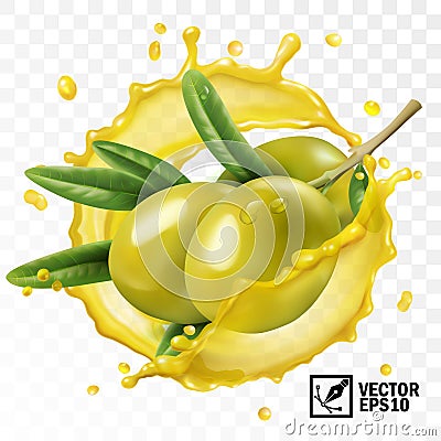 3d realistic isolated transparent vector splash of olive oil with a branch of olive fruits with leaves Vector Illustration