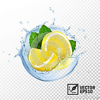 3d realistic isolated vector slices lemon and fresh mint leaves in a splash of water or tea with drops Vector Illustration