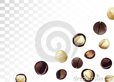 3D realistic macadamia nut isolated on transparent background. Shelled and unshelled Macadamia nuts. Organic macadamia Cartoon Illustration