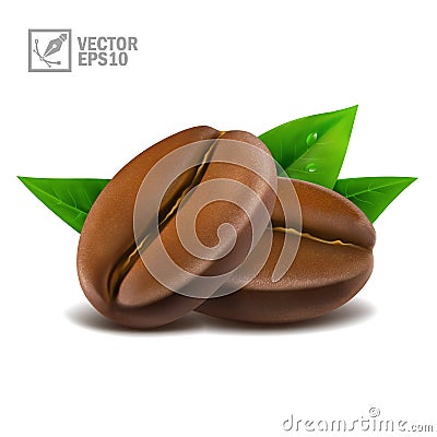 3d realistic macro set of two coffee beans with leaves Vector Illustration