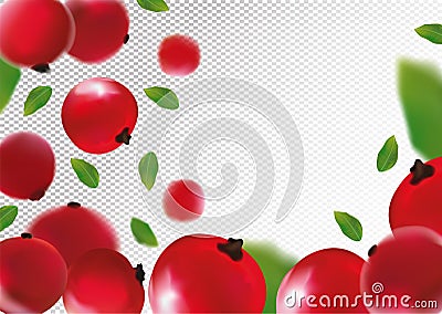 3D realistic red currant berry with green leaf. Freshly red currant berry in motion. Red currant background. Falling Vector Illustration