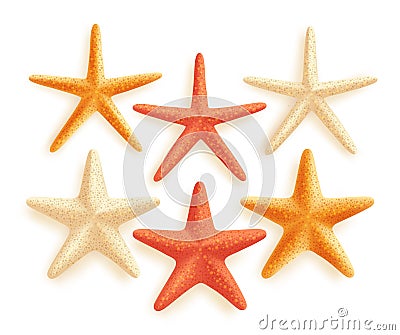 3D Realistic Set of Vector Starfish with Different Colors for Summer Design Vector Illustration