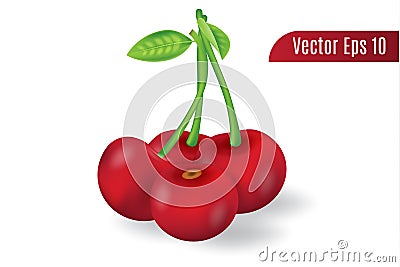 3d realistic vector fresh cherry on isolated background Vector Illustration