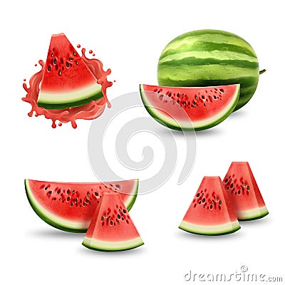 3d realistic watermelon, isolated slices and whole. Water melon tropical juice, natural fruit in splash and drops Vector Illustration