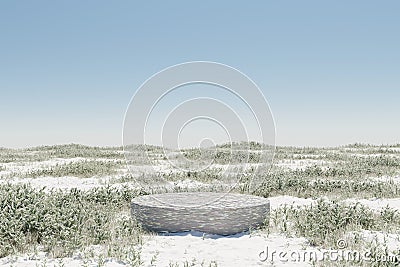 3d render Abstact stage podium background, Round podium on snow field and meadow grass backdrop sky for product display, mock up Stock Photo