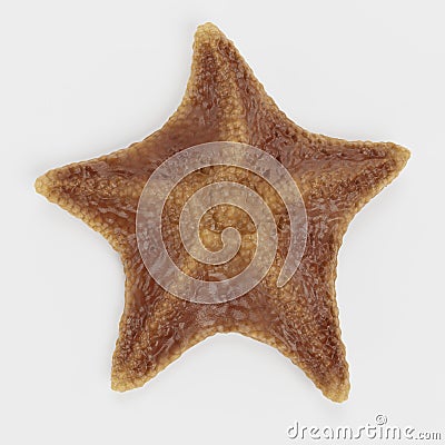 3D Render of Bat Starfish Stock Photo
