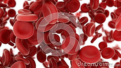 3d render Blood cells flying through arteries on white background Stock Photo