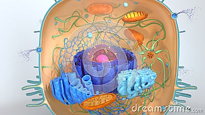 3d render of body cells. 3d illustration cell modell. Cartoon Illustration