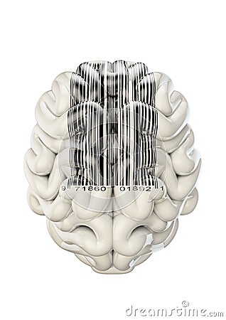 Barcode brain Stock Photo