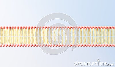 3d render cell membrane Phospholipid Bilayer. Layers of molecules. Gene expression. nucleotide database. Fluid mosaic model for Stock Photo