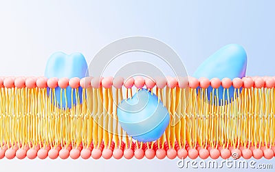 3d render cell membrane Phospholipid Bilayer. Layers of molecules. Gene expression. nucleotide database. Fluid mosaic model for Stock Photo