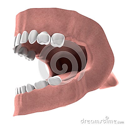 3d render of child teeth Stock Photo
