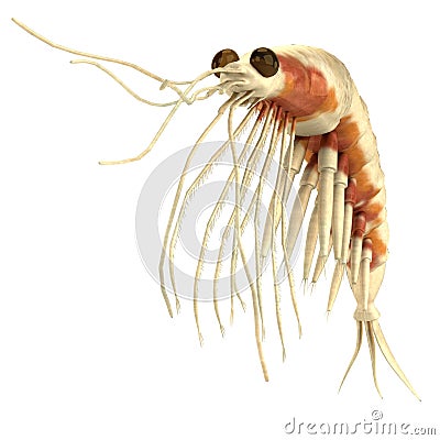 3d render of crustacean - krill Stock Photo