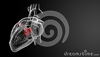3d render Heart valve Stock Photo