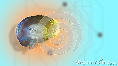 3d render of high-functioning brain processing information inside a transparent sphere over light digital background. Stock Photo