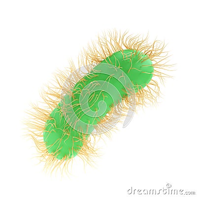 3d render illustration Escherichia Coli of Pathogenic bacterium bacteria medicine, salmonella typhosa with flagella Cartoon Illustration