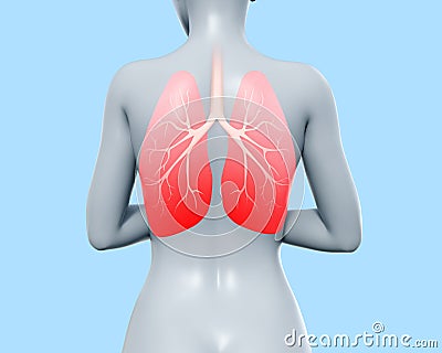 3d render illustration of female figure with infammated lungs Cartoon Illustration