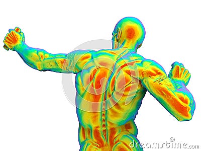 3D rendering - rainbow colored human body back muscles Cartoon Illustration