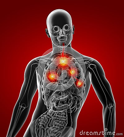 3D rendering illustration of lung Stock Photo