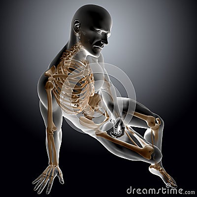 3D render of a male medical figure with bones highlighted Stock Photo