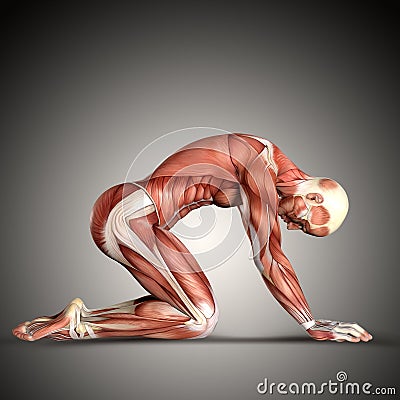 3D render of a male medical figure in kneeling position Stock Photo