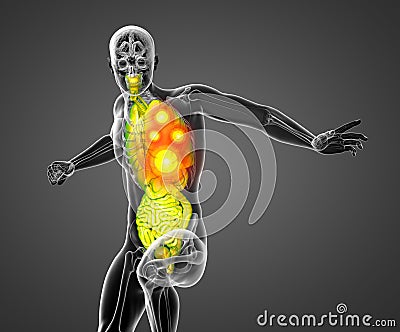 3d render medical illustration of the human digestive system and respiratory system Cartoon Illustration