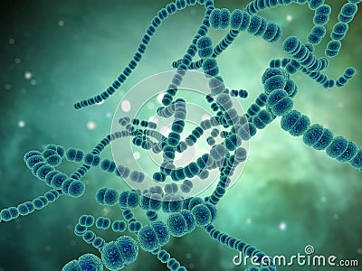 3D medical image with Strep A virus cells Stock Photo