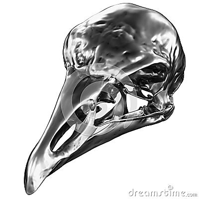 Metallic Bird Skull Stock Photo