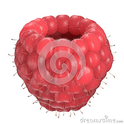 3d render raspberry isolated on white Stock Photo