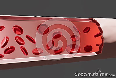 the red bloods cell in vein Stock Photo