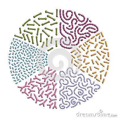 3d render Set of different types of good bacterias of human microbiome on circle shape background, Simple Volume Cartoon Illustration